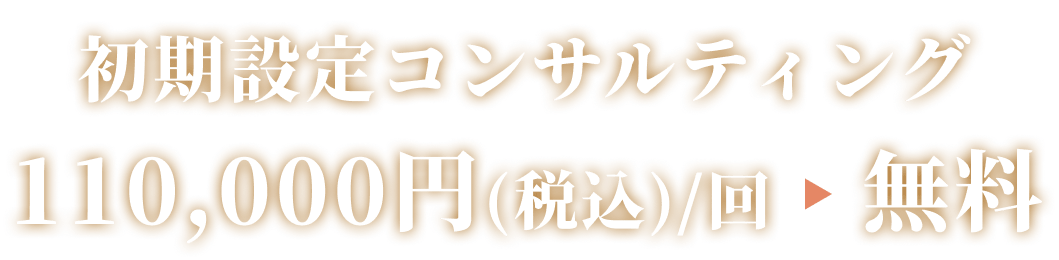 初期設定コンサルティング無料